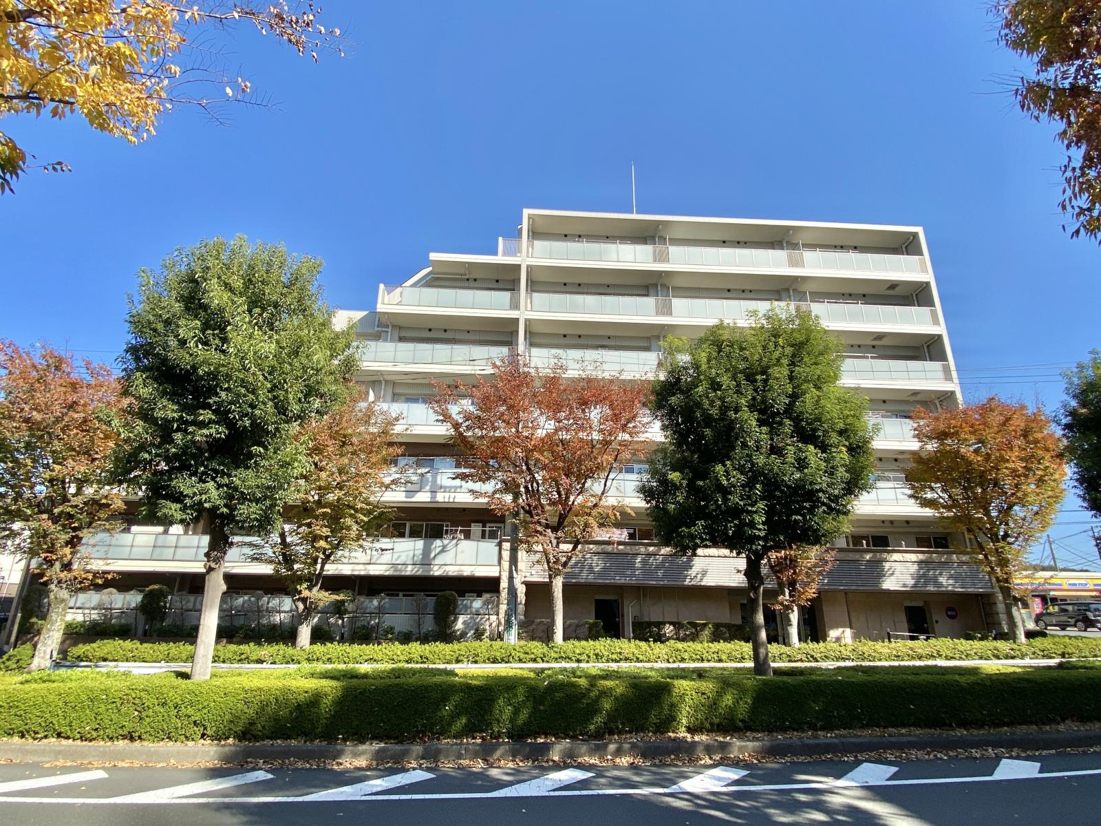 　　ミオカステーロ町田　2階の画像