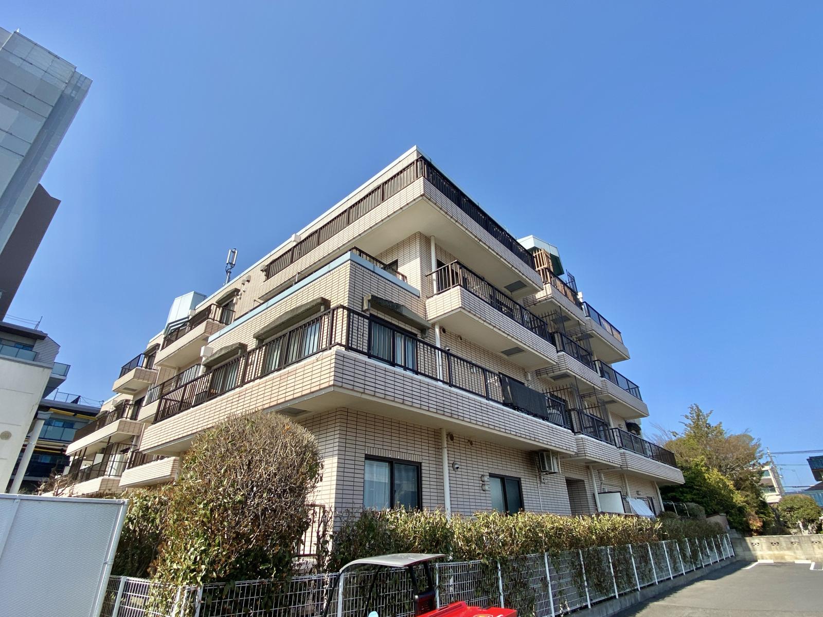   ベルメゾン町田　105号室の画像